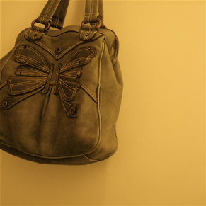 butterfly-purse.jpg