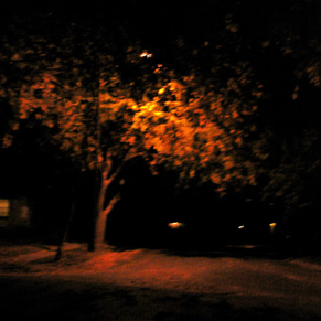 streetlight.jpg
