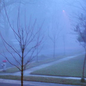 foggy-morning.jpg