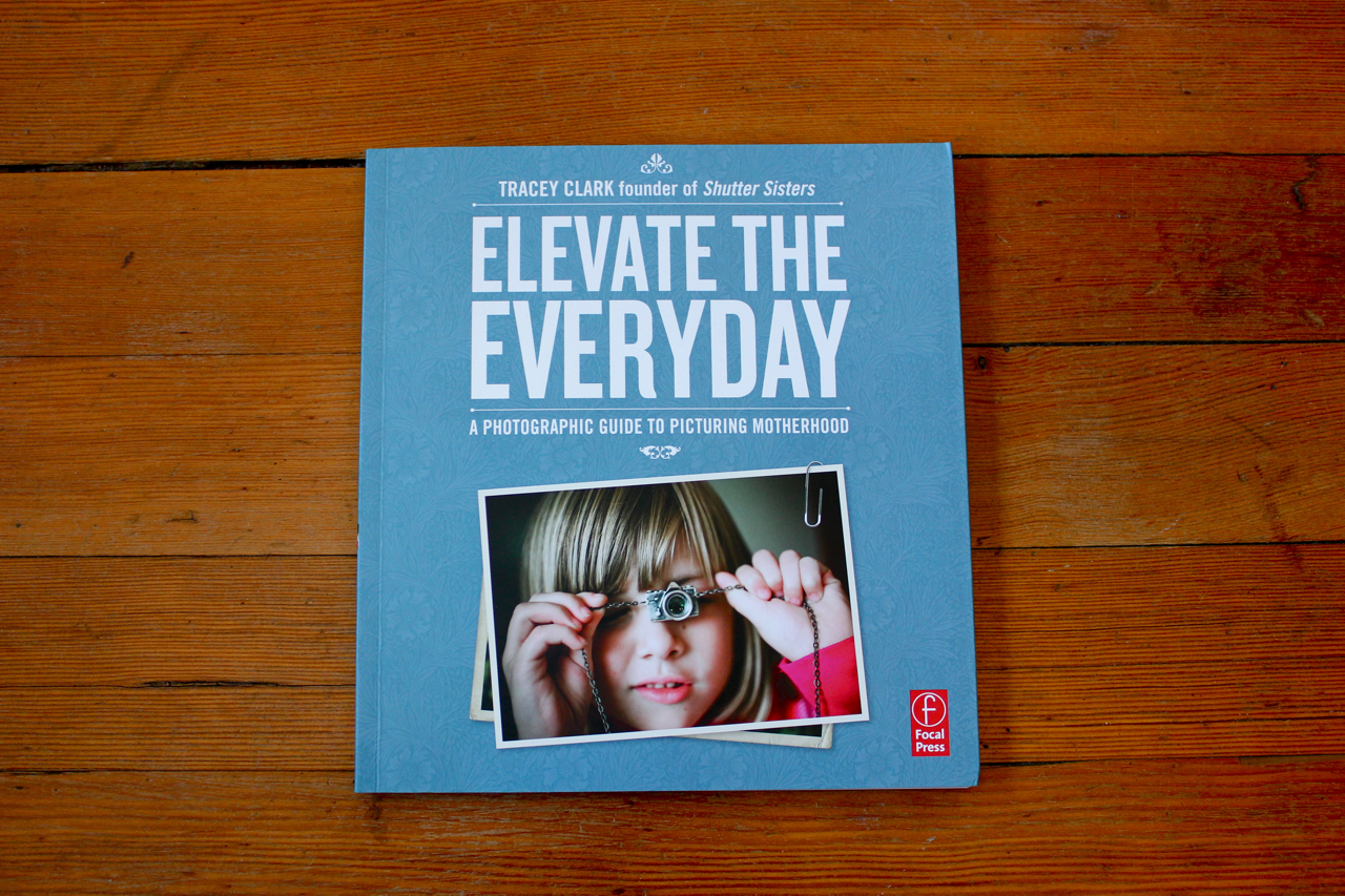 Elevate the Everyday: A Photographic Guide to Picturing Motherhood by Tracey Clark