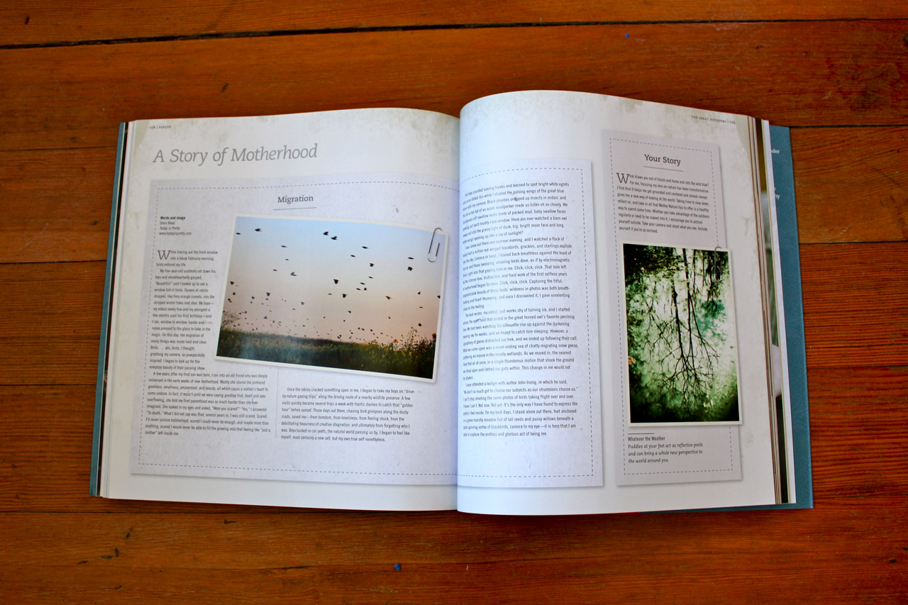 Elevate the Everyday Migration Essay by Sheri Reed