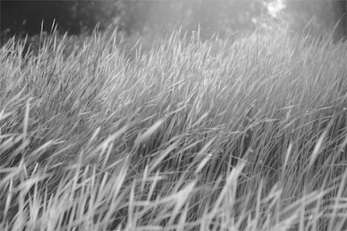 IMG_1847 - Version 2