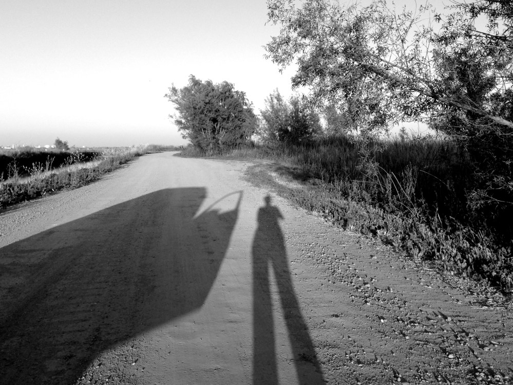 IMG_7514 - Version 2