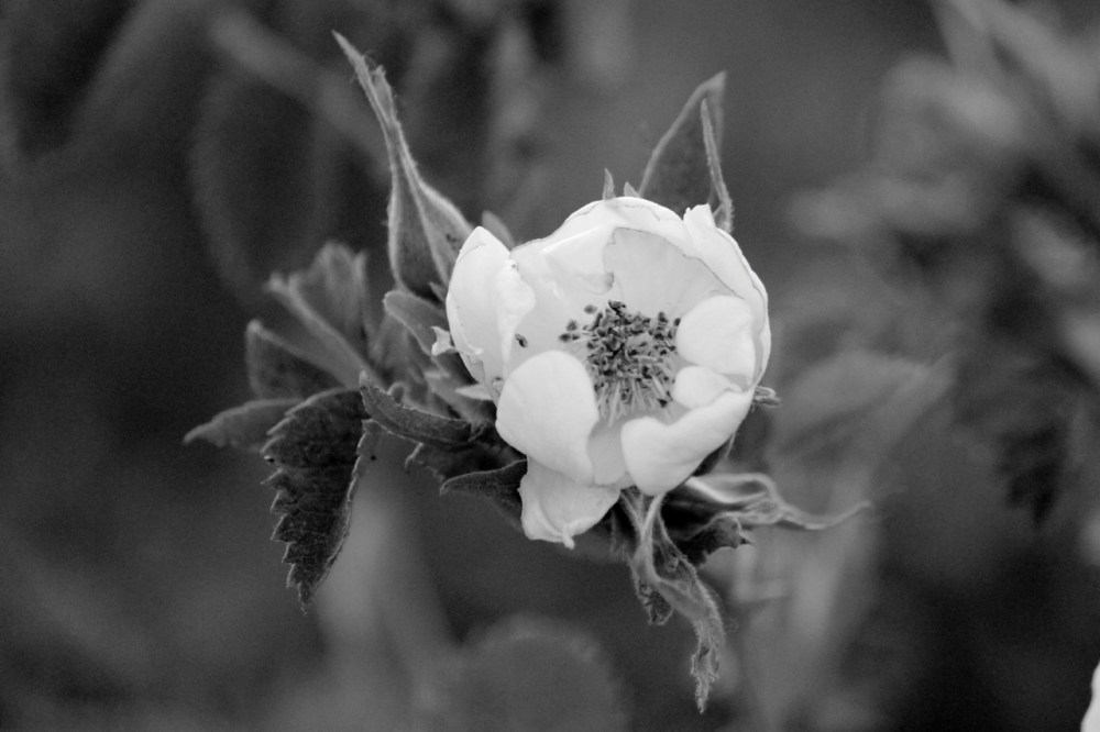 IMG_2672 - Version 2