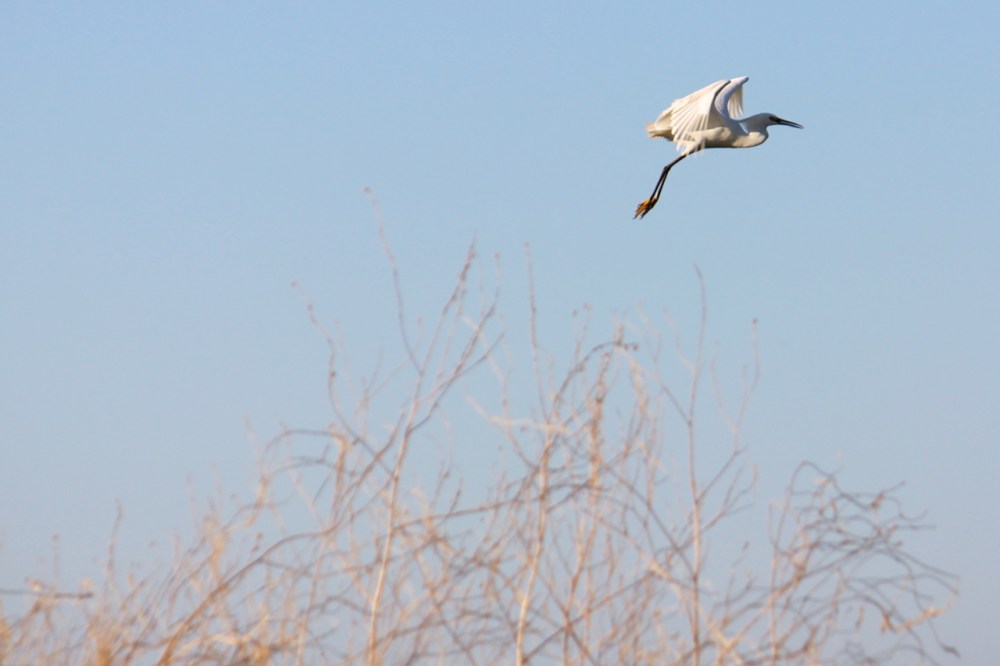 IMG_3518 - Version 2