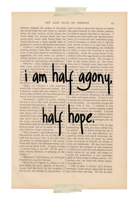 il_570xN.367126483_aomo