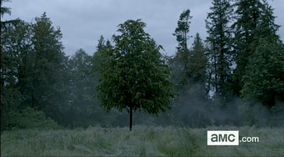 Screen Shot 2013-08-05 at 9.29.40 PM